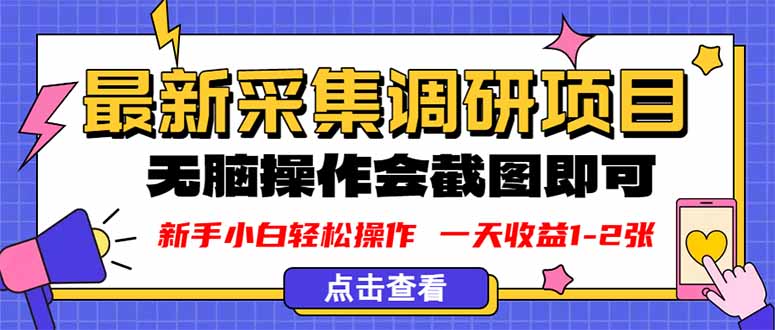 新版采集调研项目，截图上传即可，无脑操作，日收益1-2张-仙女副业网