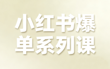 尼采老师·小红书爆单系列课-仙女副业网
