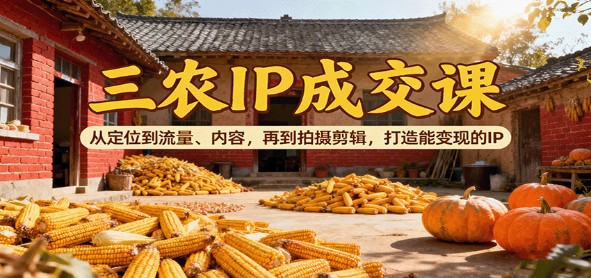 三农IP成交课：从定位到流量、内容，再到拍摄剪辑，打造能变现的IP-仙女副业网