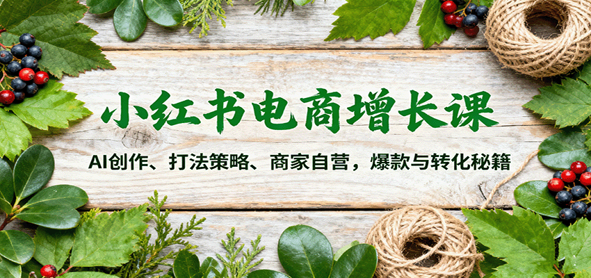 小红书电商增长课：AI创作、打法策略、商家自营，爆款与转化秘籍-仙女副业网