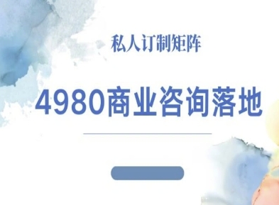 4980商业咨询师落地课程-ip运营高客单教程-仙女副业网