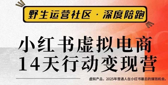 小红书虚拟电商14天变现训练营3.0，​虚拟产品，2025年普通人在小红书最后的搞钱机会-仙女副业网