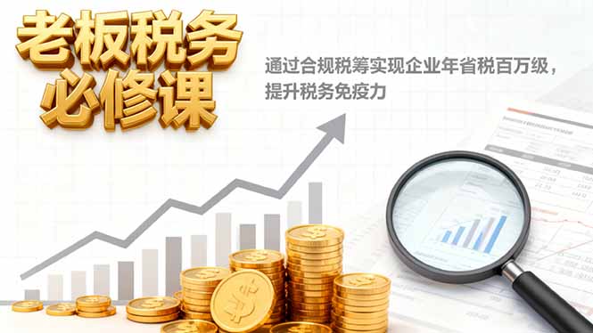 老板税务必修课，通过合规税筹实现企业年省税百万级，提升税务免疫力-仙女副业网