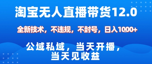 淘宝无人直播12.0,公域私域技术,不封号,不违规布局双十一流量风口,日入1k(独家技术)【揭秘】-仙女副业网