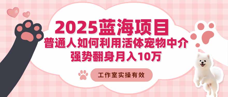 2025蓝海项目：普通人如何利用活体宠物中介，强势翻身月入10万-仙女副业网