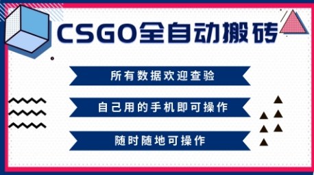 CSGO全自动搬砖，年底钱回家好项目，当天可拿到结果，新手小白轻松月入1W+【揭秘】-仙女副业网