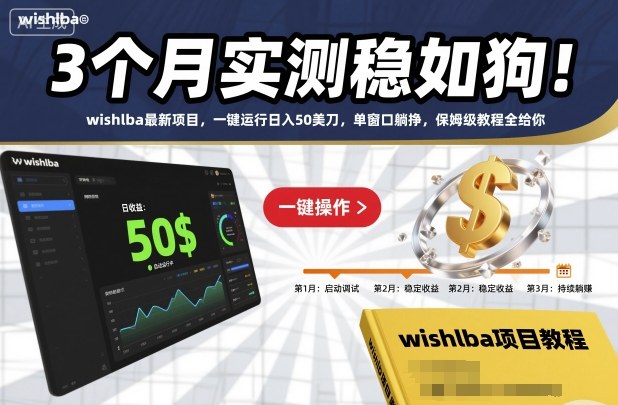 3个月实测稳如狗！wishlba最新项目，一键运行日入50美刀，单窗口躺挣，保姆级教程全给你【揭秘】-仙女副业网
