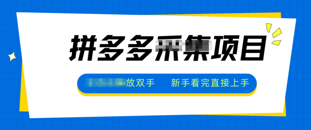 拼多多电商采集，一小时50+，操作简单，零投资-仙女副业网