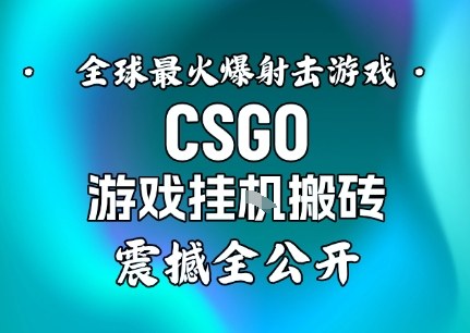 【年底大揭秘】基于全球最火爆的射击CSGO游戏挂G搬砖，日入5张+，震撼公开-仙女副业网