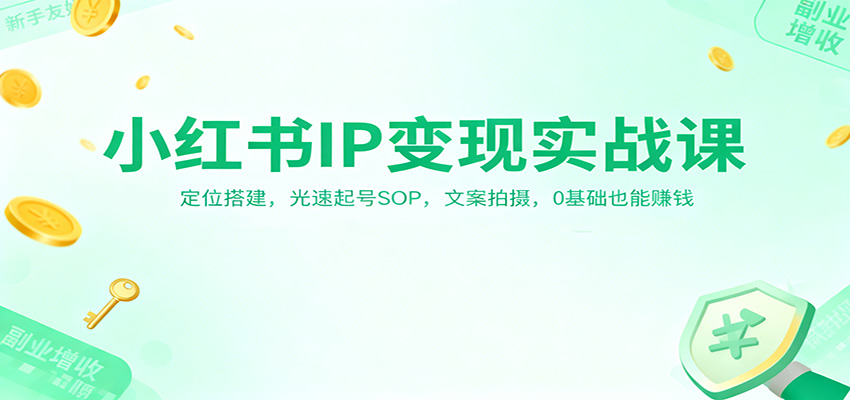 小红书IP变现实战课：定位搭建，光速起号SOP，文案拍摄，0基础也能赚钱-仙女副业网