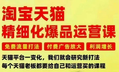 淘宝天猫精细化爆品运营课，免费流量打法-付费广告放大-利润增长-三大核心痛点，一次全部解决-仙女副业网