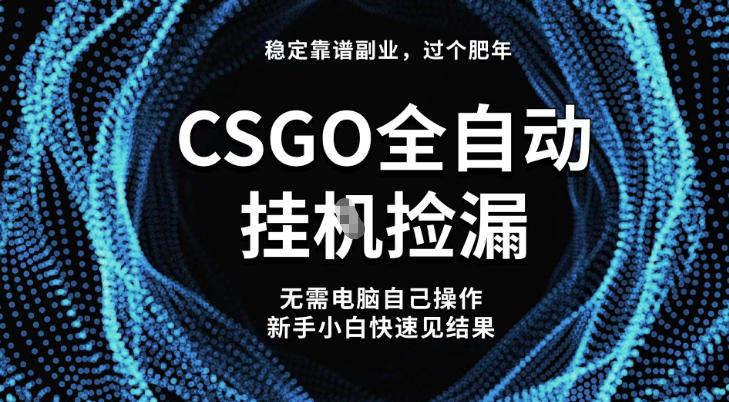 【稳定副业】全球最热门游戏CSGO全自动捡漏,最新玩法,新手小白日入5张+【揭秘】-仙女副业网