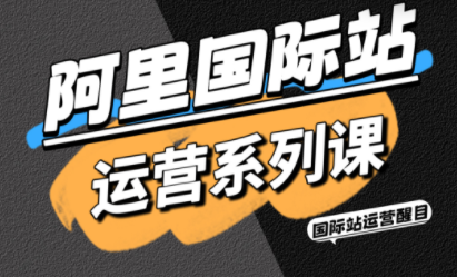 醒目老师·阿里国际站运营系列课(更新11月)-仙女副业网