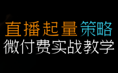 半野老师·直播带货起量与微付费必学课视频号-仙女副业网