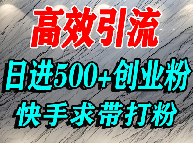 怎么打创业粉?快手求带视角精准引流创业粉,宝妈、学生群体日进500+精准流量-仙女副业网