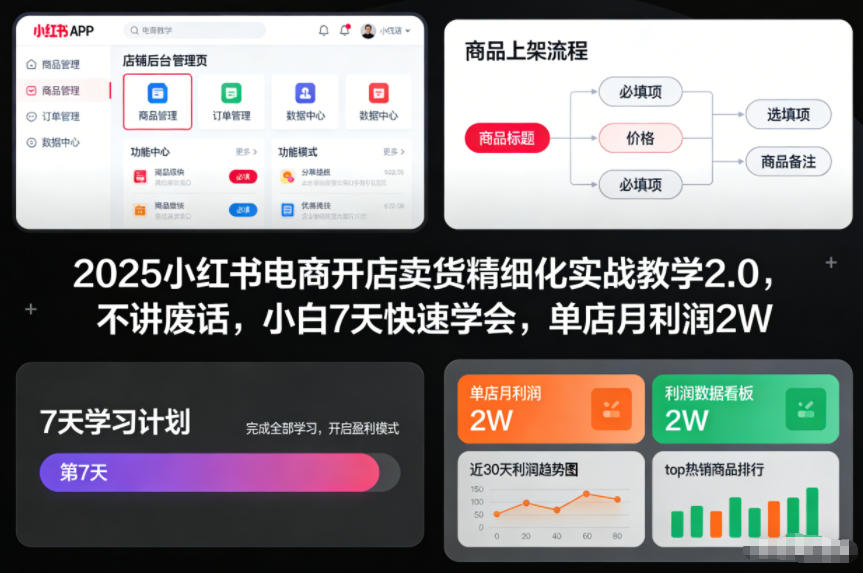 2025小红书电商开店卖货精细化实战教学2.0，不讲废话，小白7天快速学会，单店月利润2W-仙女副业网