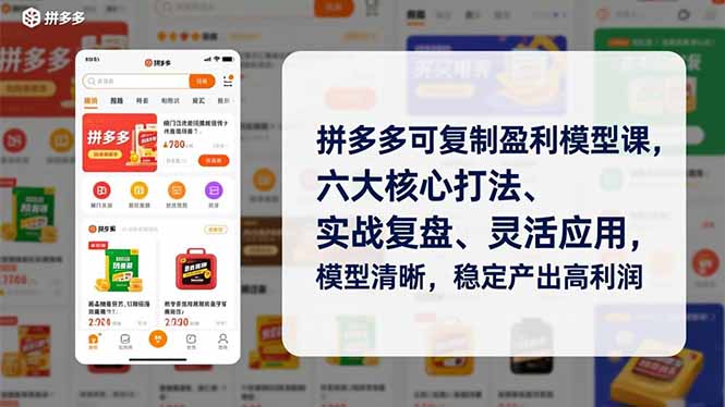 拼多多可复制盈利模型课，六大核心打法、实战复盘、灵活应用，模型清晰，稳定产出高利润-仙女副业网