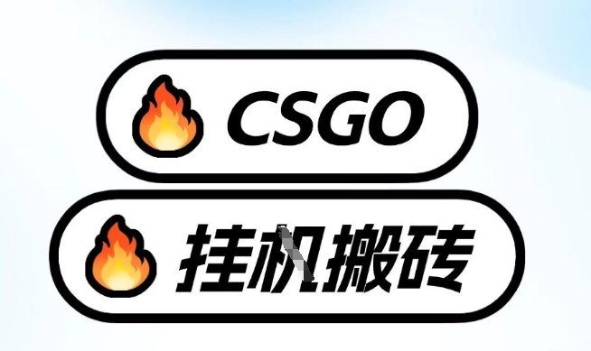 真全网独家CSGO挂G，最新玩法,单日捡漏1K+，不用电脑，不用打游戏【揭秘】-仙女副业网