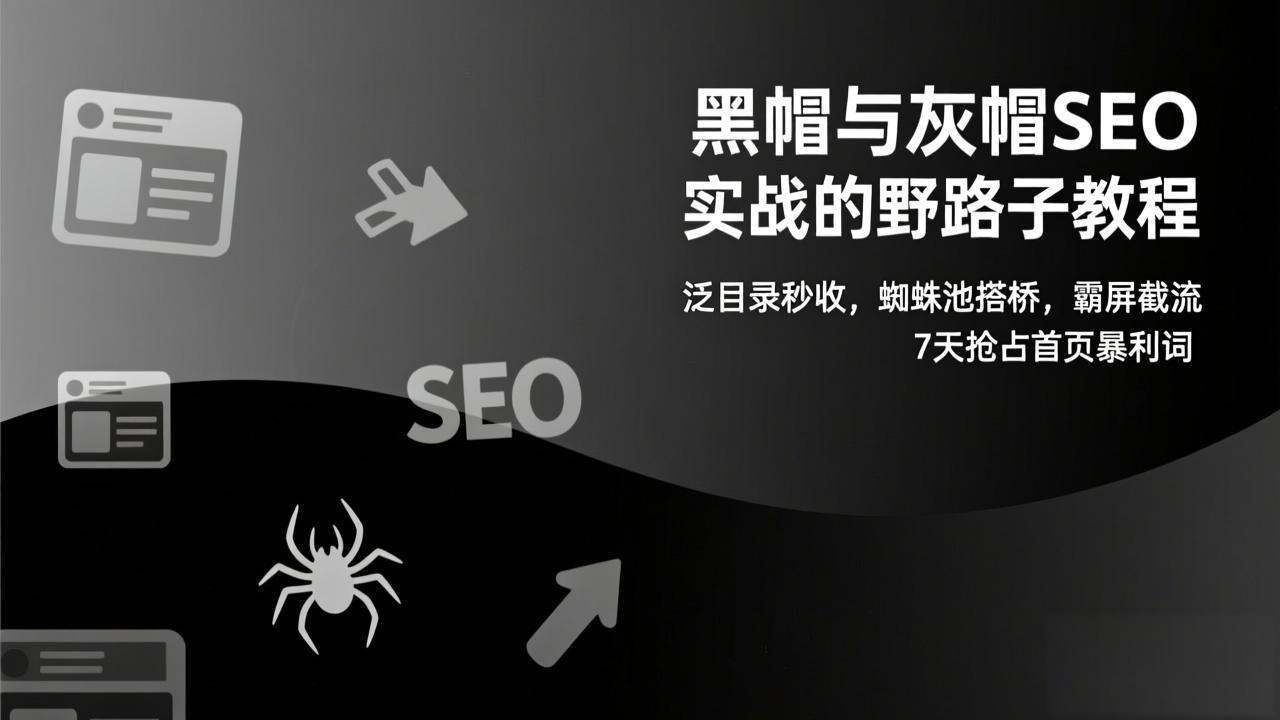 黑帽与灰帽SEO实战的野路子教程：泛目录秒收，蜘蛛池搭桥，霸屏截流，7天抢占首页暴利词-仙女副业网
