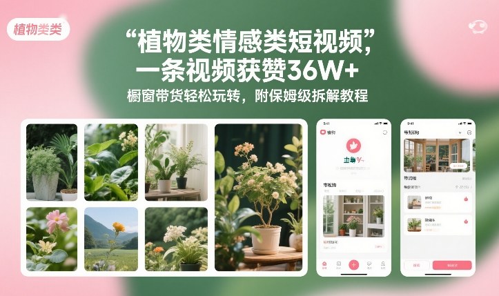 植物类情感类短视频，一条视频获赞36W+，橱窗带货轻松玩转，附保姆级拆解教程-仙女副业网