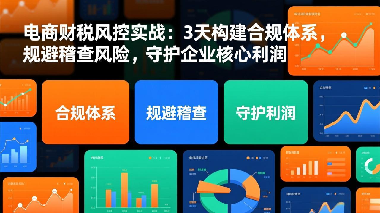 电商财税风控实战：3天构建合规体系，规避稽查风险，守护企业核心利润-仙女副业网