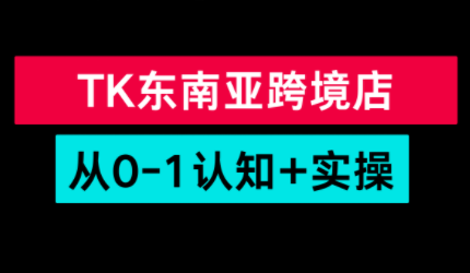 TikTok东南亚跨境从0-1认知实操课-仙女副业网