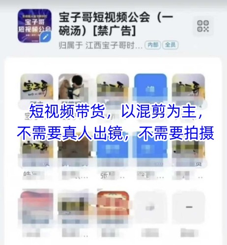 宝子哥头部团队短视频带货，以混剪为主，不需要真人出镜，不需要拍摄【更新26年1月】-仙女副业网