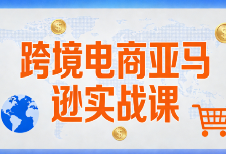 丝丝老师·跨境电商亚马逊实战课(更新2月)-仙女副业网