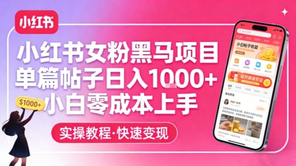 小红书女粉黑马项目，单篇帖子日入1k+，小白零成本上手-仙女副业网
