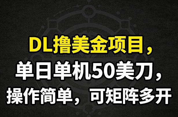 DL撸美金项目，单日单机50美刀，操作简单，可矩阵多开-仙女副业网