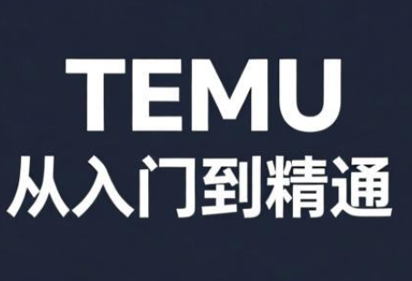 跨境麦冬·TEMU从入门到精通-仙女副业网