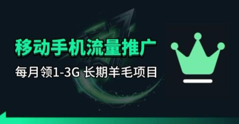 手机流量领取推广_每月一轮，刚需类的长期项目-仙女副业网