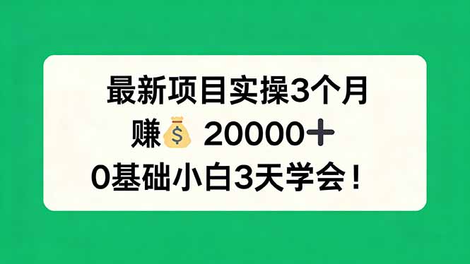 最新项目实操3个月，赚钱20000+，0基础小白3天学会！-仙女副业网