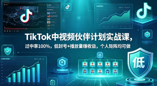 TikTok中视频伙伴计划实战课，过中率100%，低封号+播放量賺收益，个人矩阵均可做-仙女副业网