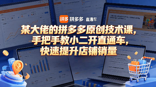 某大佬的拼多多原创技术课，手把手教小二开直通车，快速提升店铺销量-仙女副业网