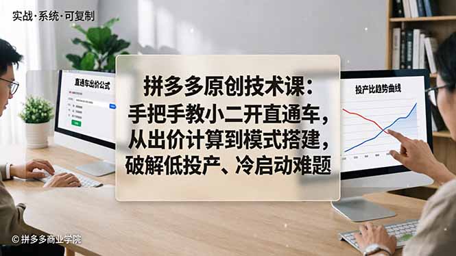拼多多原创技术课：手把手教小二开直通车，从出价计算到模式搭建，破解低投产、冷启动难题-仙女副业网