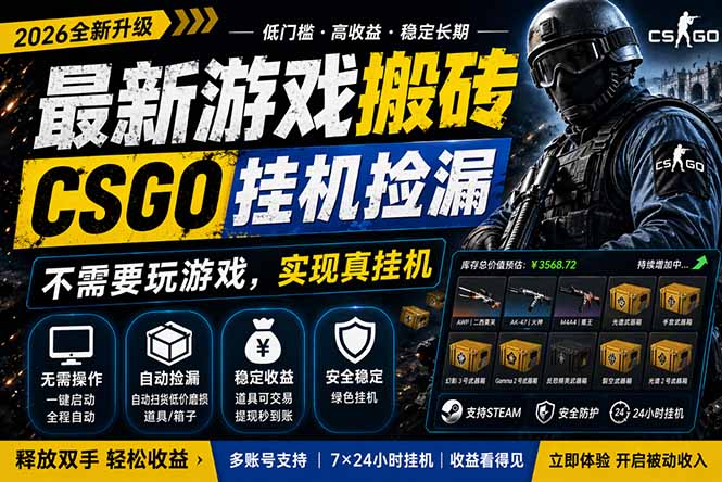 最新游戏搬砖，CSGO纯挂机，不需要玩游戏，实现真挂机，月入1W+，五一小高峰上车可吃肉，...-仙女副业网