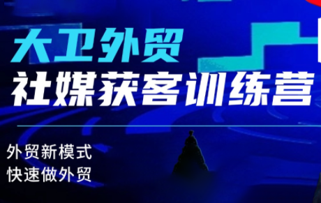 大卫老师·外贸社媒获客独家训练营(更新4月)-仙女副业网