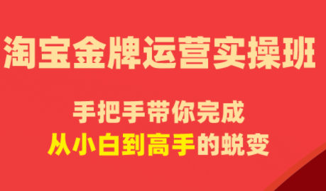 飓风电商·淘宝金牌运营实操班-仙女副业网