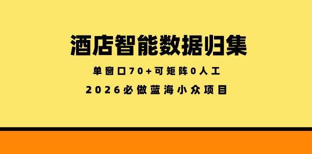 酒店智能数据归集，小众蓝海已经稳定半年之久，单窗口70+零成本矩阵开干【揭秘】-仙女副业网