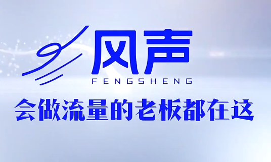 董十一·风声短视频AI获客年度会员-仙女副业网