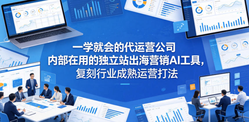一学就会的代运营公司内部在用的独立站出海营销AI工具，复刻行业成熟运营打法-仙女副业网