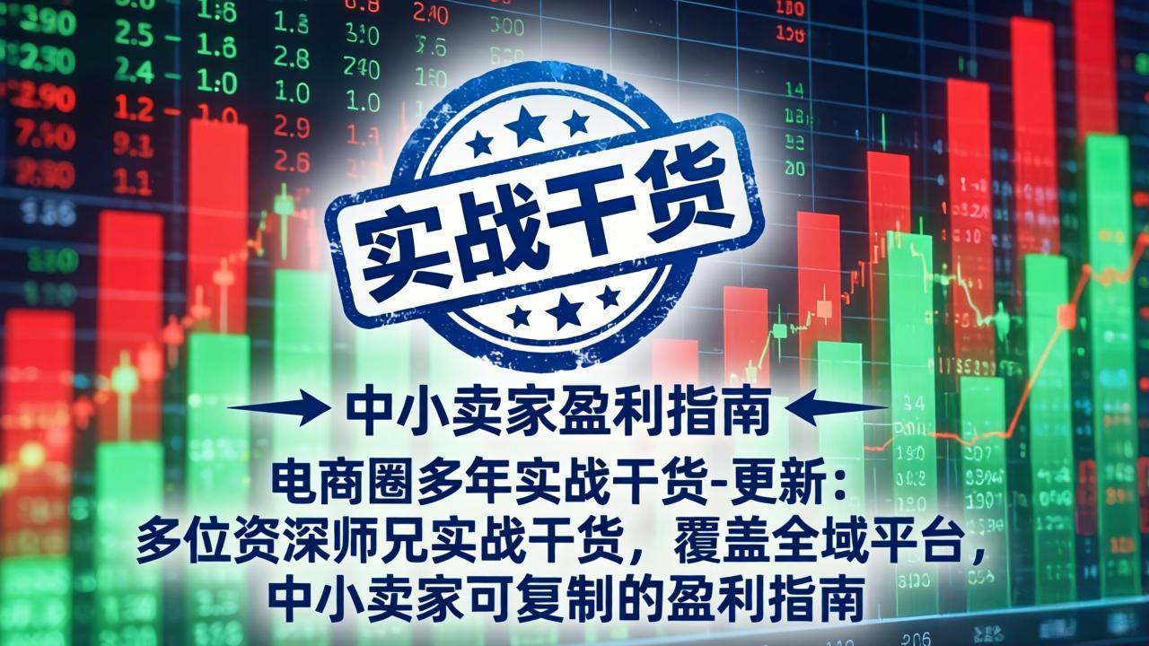 电商圈多年实战干货-更新5月20：多位资深师兄实战干货/覆盖全域平台，中小卖家可复制的盈利指南-仙女副业网