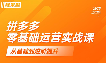 仙道电商·拼多多零基础运营实战课-仙女副业网