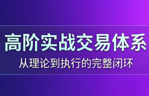 高老师·高阶实战交易体系(更新6月)-仙女副业网