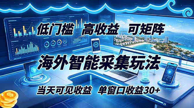 海外智能采集玩法,低门槛高单价可矩阵,当天可见收益,单窗口30+-仙女副业网