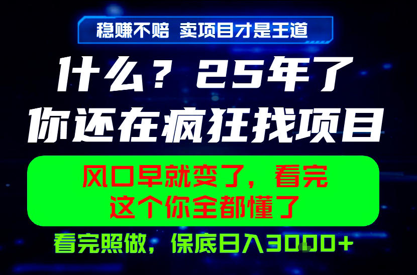 26年,请不要疯狂的找项目做了!卖项目才是真的稳賺不赔,看完照做,保底日入1k+【揭秘】-仙女副业网