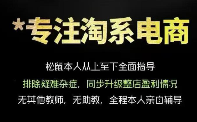 松鼠会电商VIP课程,从基础布局到高阶优化,助你掌握淘宝运营逻辑,提升店铺流量与转化-仙女副业网