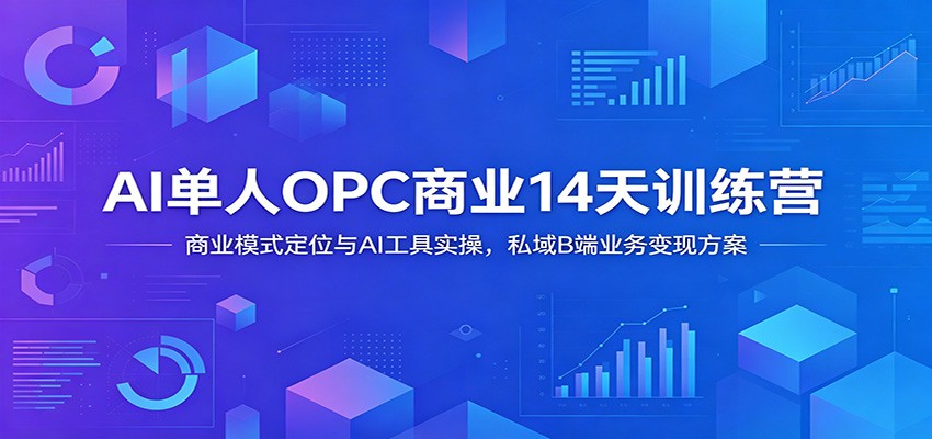 AI单人OPC商业14天训练营：商业模式定位与AI工具实操，私域B端业务变现方案-仙女副业网