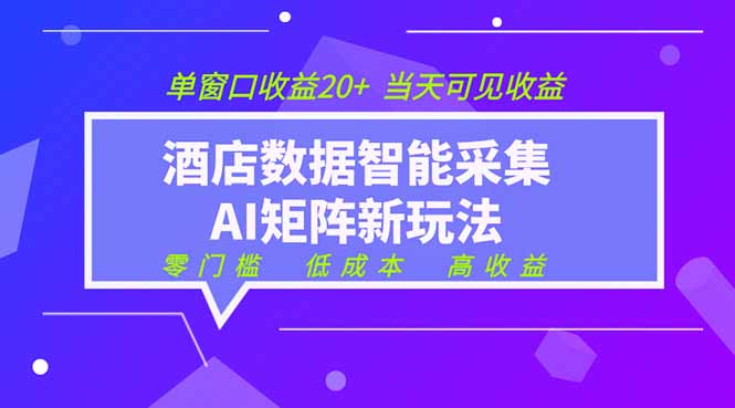 2026酒店数据采集ai智能矩阵新风口  低成本   高收益   当天见收益   单窗口20+-仙女副业网
